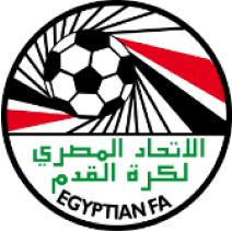 شريك استراتيجي